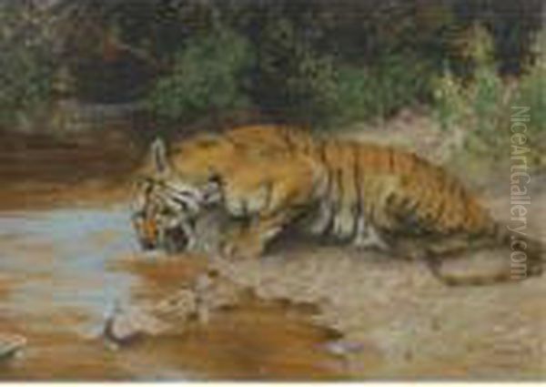 Tiger Drinking Oil Painting by Arthur Wardle