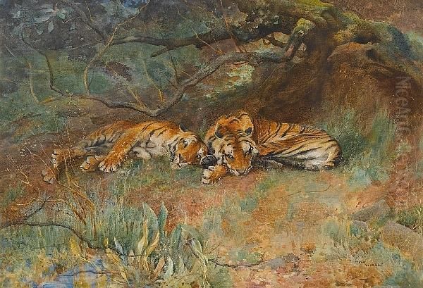 Two Tigers At Rest Oil Painting by Arthur Wardle