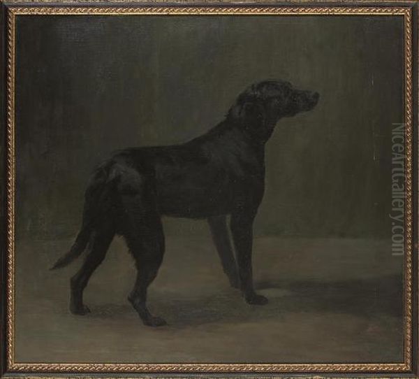 A Black Labrador Oil Painting by Arthur Wardle