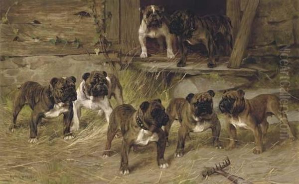 Bulldogs Of The Twentieth Century Oil Painting by Arthur Wardle