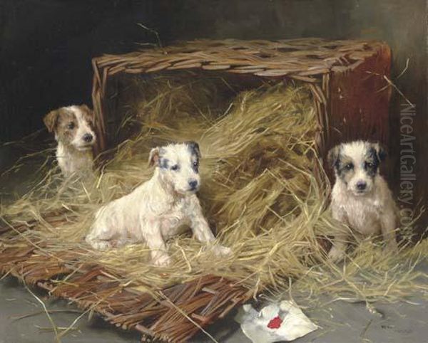 The New Arrivals - Fox Terrier Puppies Oil Painting by Arthur Wardle