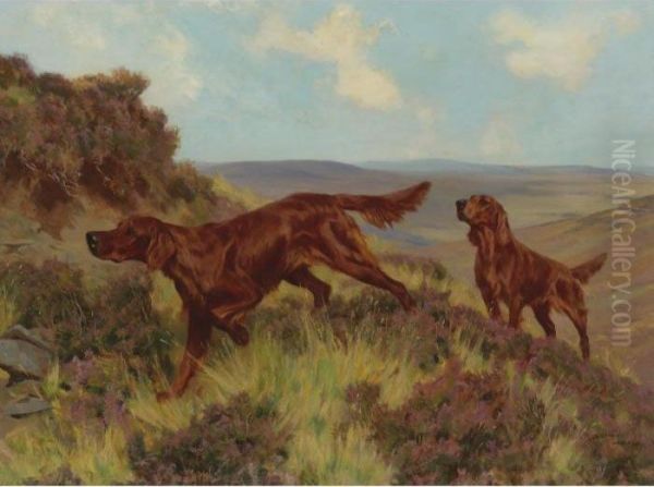 A Pair Of Irish Setters In The Field Oil Painting by Arthur Wardle