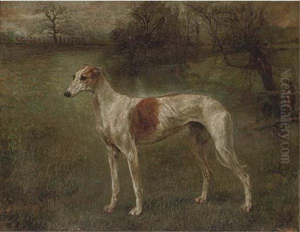 A Prize Greyhound In A Landscape Oil Painting by Arthur Wardle