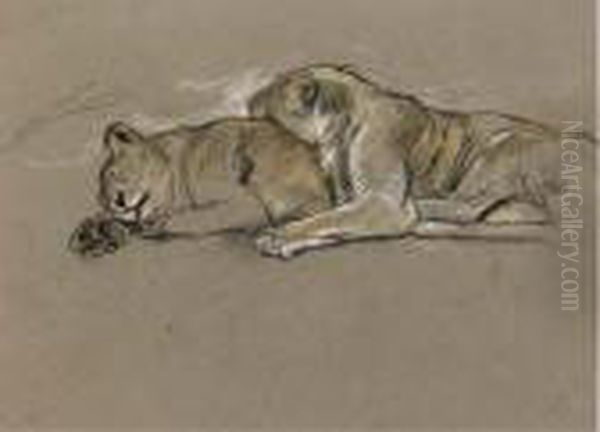 Sleeping Lionesses Oil Painting by Arthur Wardle