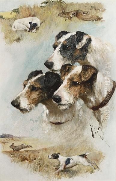 Study Of Terriers Oil Painting by Arthur Wardle