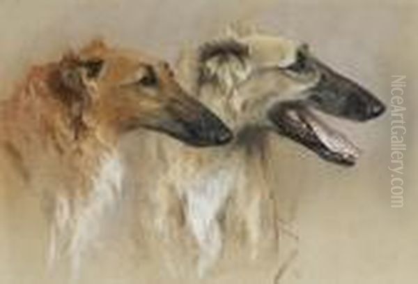 Head Studies Of Two Borzoi Oil Painting by Arthur Wardle