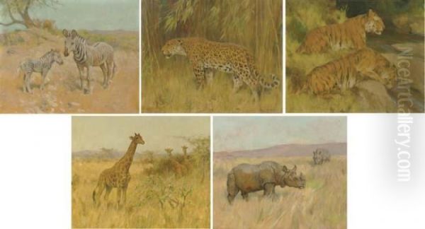 Zebras; A Leopard; Tigers; Giraffes And A Rhino Oil Painting by Arthur Wardle