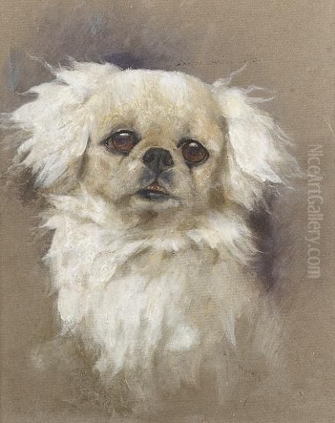 A Pekingese Oil Painting by Arthur Wardle