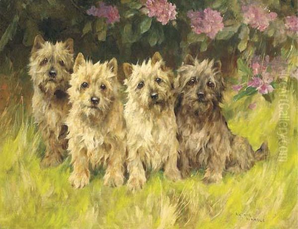 Cairn Terriers By A Rhododendron Bush Oil Painting by Arthur Wardle