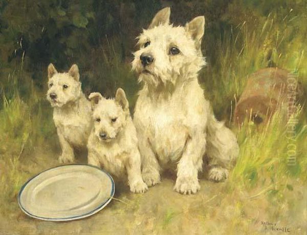 A West Highland White Terrier And Puppies In A Garden Oil Painting by Arthur Wardle