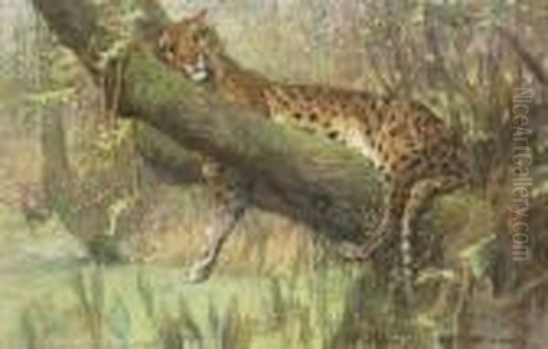 A Leopard Resting Oil Painting by Arthur Wardle