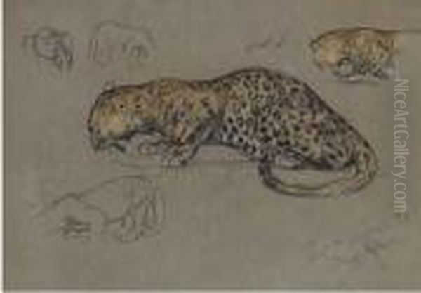 Leopard Studies Oil Painting by Arthur Wardle