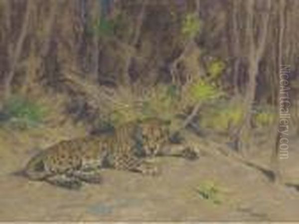 A Leopard Resting In The Shade Oil Painting by Arthur Wardle