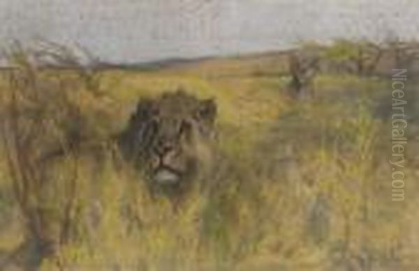 A Lion And Lioness Lying In The Long Grass Oil Painting by Arthur Wardle