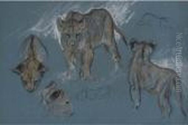 A Study Of Lion Cubs And A Leopard Cub Oil Painting by Arthur Wardle