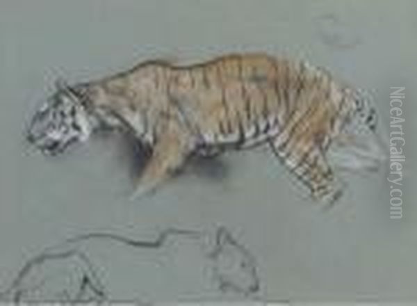 A Study Of Two Tigers: One Crouching And One Sleeping Oil Painting by Arthur Wardle