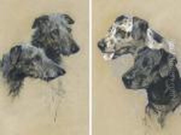 Two Scottish Deerhounds; And Two Great Danes Oil Painting by Arthur Wardle