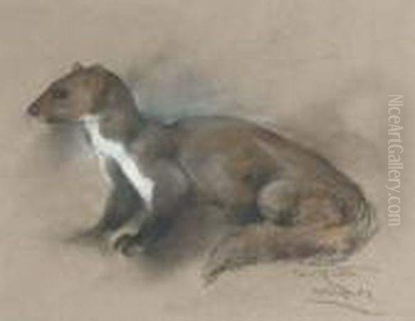 Study Of A Pine Martin Oil Painting by Arthur Wardle