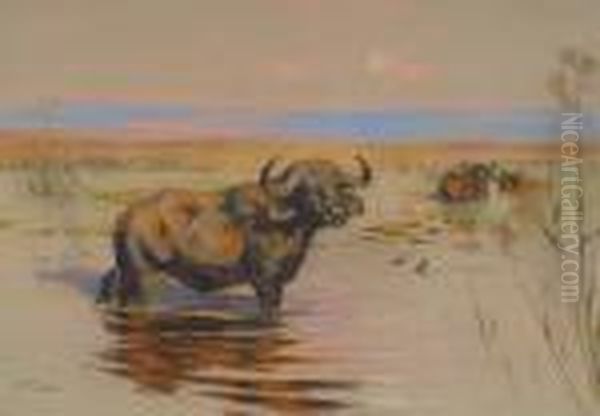 Water Buffalo Oil Painting by Arthur Wardle