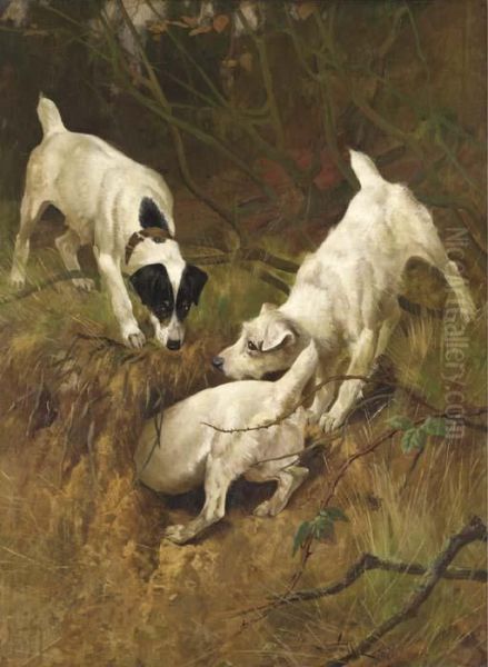 Jack Russell Terriers At A Rabbit Hole Oil Painting by Arthur Wardle