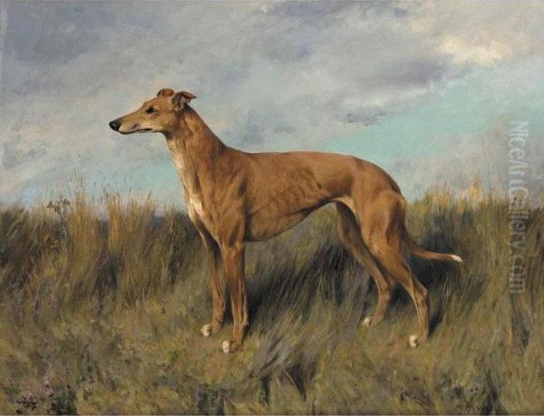 Henrietta Horn, A Greyhound Oil Painting by Arthur Wardle