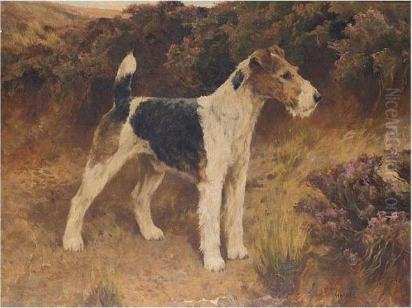 Mr Dunford's Champion Wire-haired Fox-terrier Barrington Bridegroom Oil Painting by Arthur Wardle