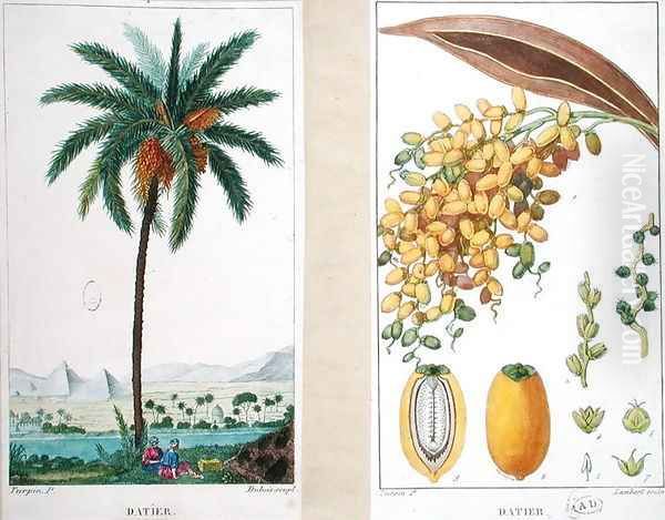 Date tree and fruit,early nineteenth century Oil Painting by Pierre Jean Francois Turpin