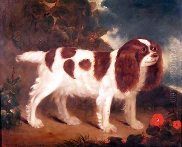 King Charles Spaniel Oil Painting by William Thompson