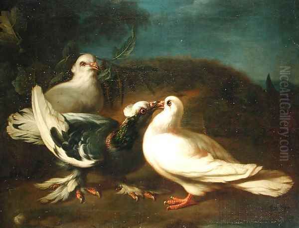 Doves, 1724 Oil Painting by Franz Werner von Tamm