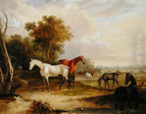 Horses Grazing- A Grey Stallion grazing with Mares in a Meadow Oil Painting by Francis Calcraft Turner