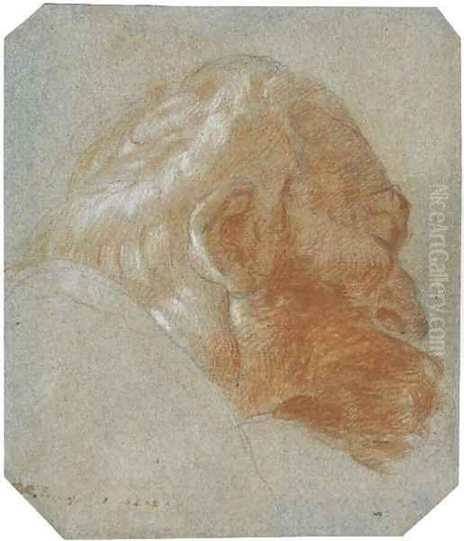 Head of a bearded old man in profile to the right Oil Painting by Lorenzo Tiepolo