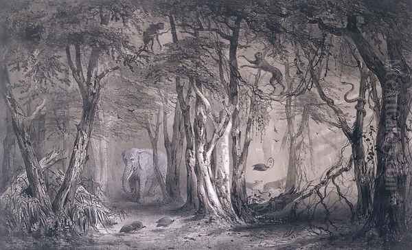 Virgin Forest on the Edge of the Blue Nile, from Voyages au Soudan Oriental et dans lAfrique Septentrionale by Pierre Tremaux 1818-95 engraved by Tirpenne and J. Gaildrau, 1852 Oil Painting by Pierre Tremaux