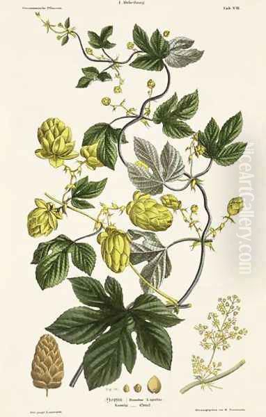 Hop Vine, from The Young Landsman, published Vienna, 1845 Oil Painting by Matthias Trentsensky