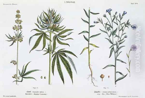 Cannabis and Flax, from The Young Landsman, published Vienna, 1845 Oil Painting by Matthias Trentsensky