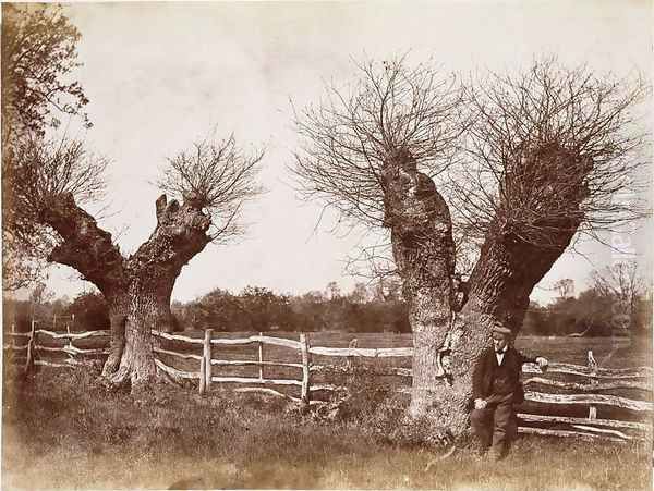 A Hedgerow Tree, 1852 Oil Painting by Benjamin Brecknell Turner