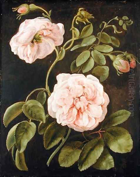 Flower Study Oil Painting by Friedrich Tischbein