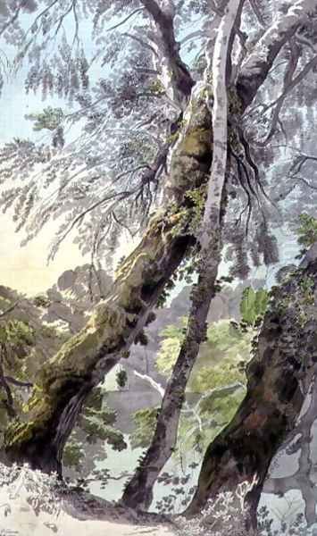 Trees Overhanging Water, 1800 Oil Painting by Francis Towne