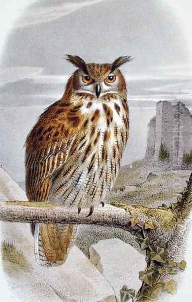 Eurasian Eagle Owl Bubo Bubo Oil Painting by Edouard Travies