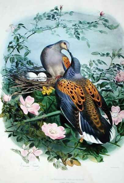 A Pair of Turtle Doves Oil Painting by Edouard Travies