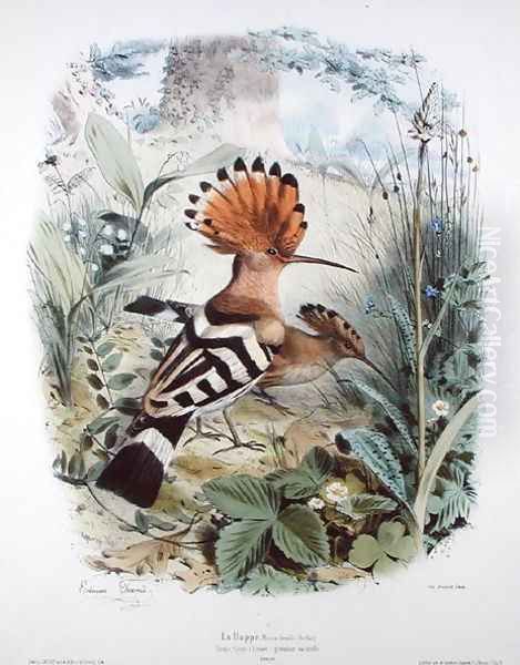 Hoopoe Oil Painting by Edouard Travies