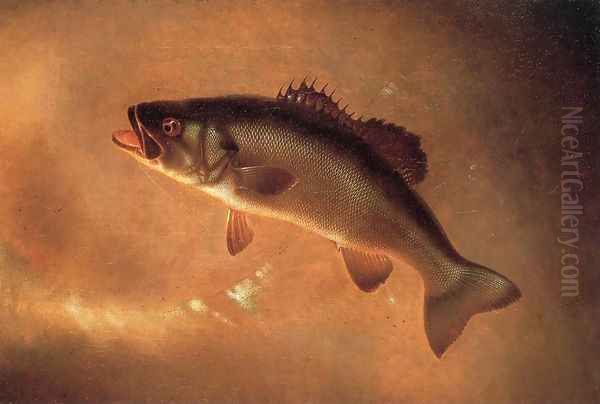 Broadtail Bass Oil Painting by Gurdon Trumbull