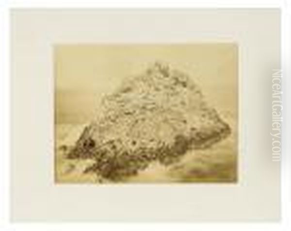 Seal Rock, Farallini Island, Pacific Ocean Oil Painting by Carleton E. Watkins