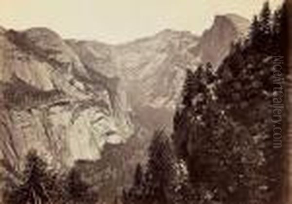 Domes From Union Point, Yosemite Valley Oil Painting by Carleton E. Watkins