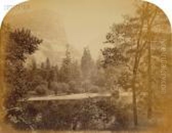 Six Yosemite Valley Landscapes. Oil Painting by Carleton E. Watkins