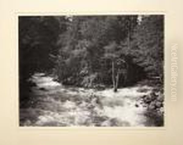 Matted Silver Gelatin Photographs Oil Painting by Carleton E. Watkins