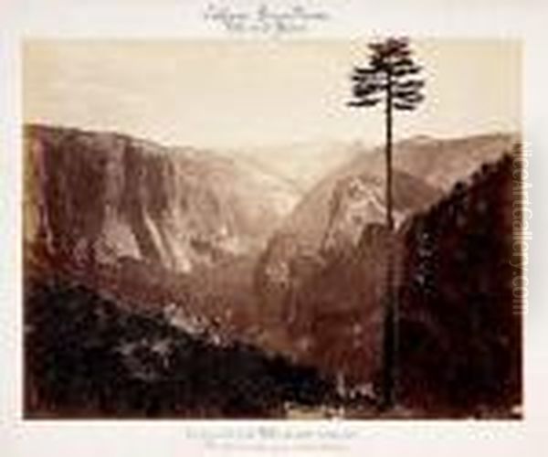 Yosemite Valley (best General View, Mariposa Trail), Sierra Nevada, Californie Oil Painting by Carleton E. Watkins