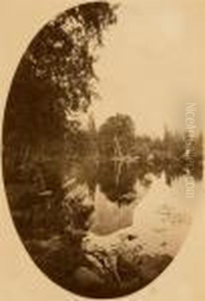 View Of Yosemite. Oil Painting by Carleton E. Watkins