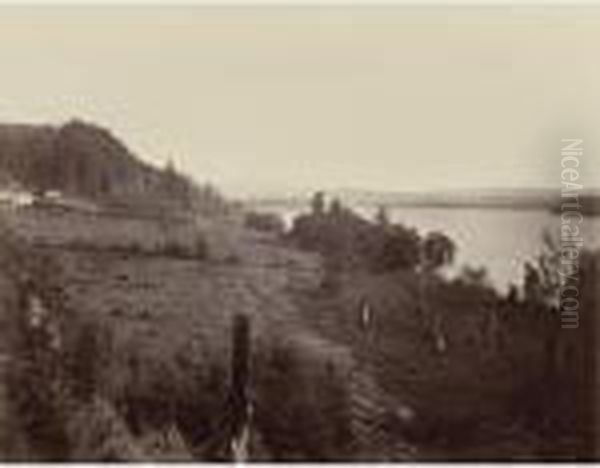 Mt. Hood From Near Vancouver Oil Painting by Carleton E. Watkins