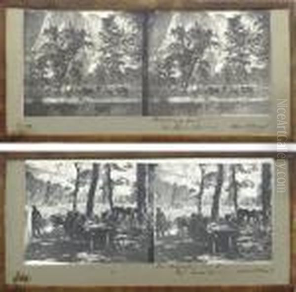 Selected Stereoviews Of The Mariposa Estate And Yosemite, C. 1861 Oil Painting by Carleton E. Watkins