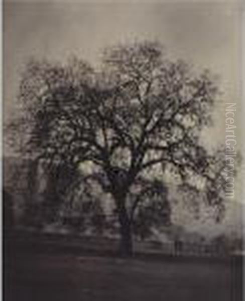 California Oak, Santa Clara Valley Oil Painting by Carleton E. Watkins